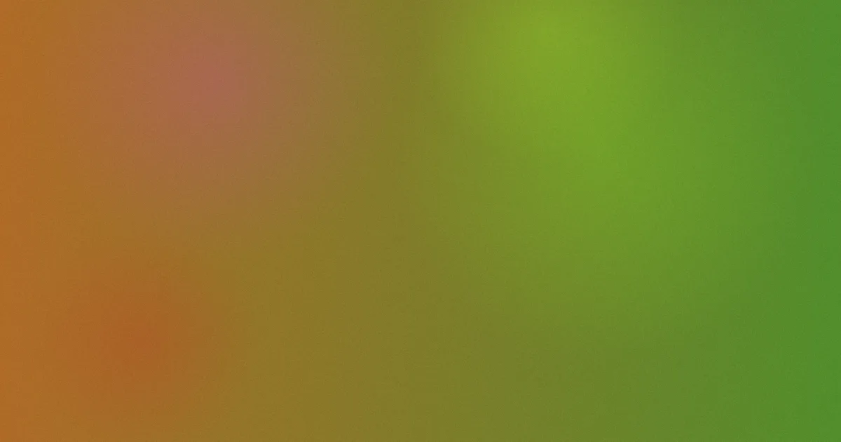 XNXX2测评：这些坑别踩